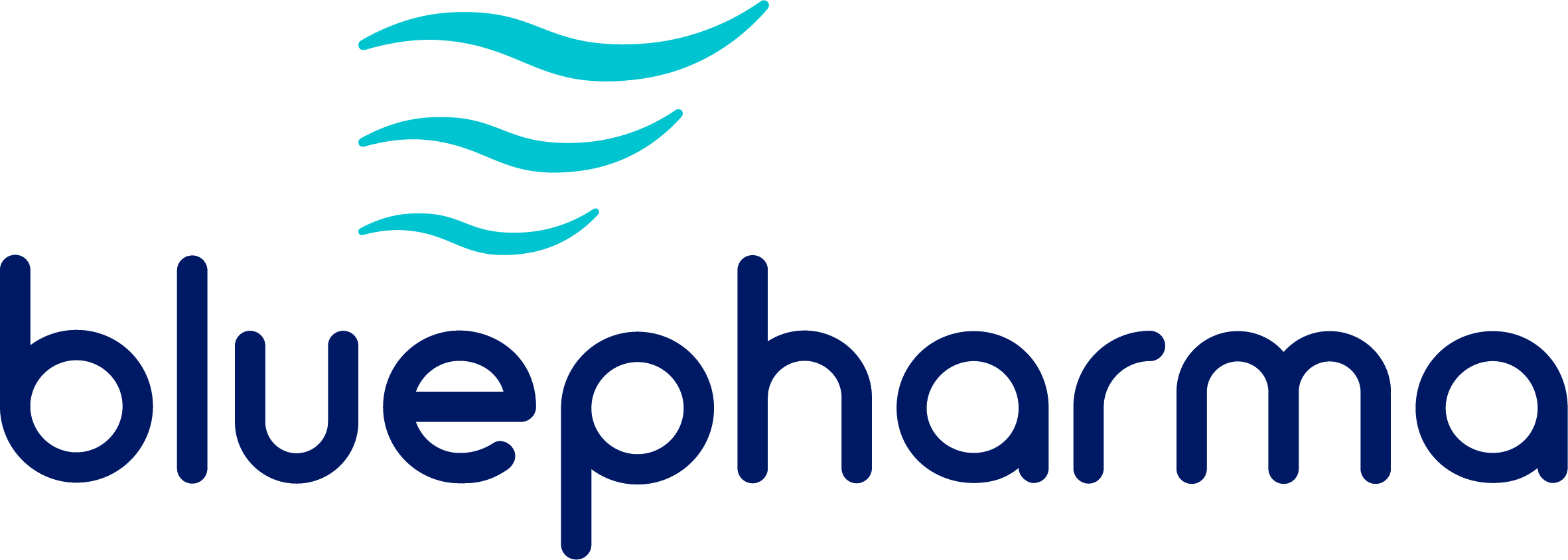 Bluepharma - Spinnaker Consulting client